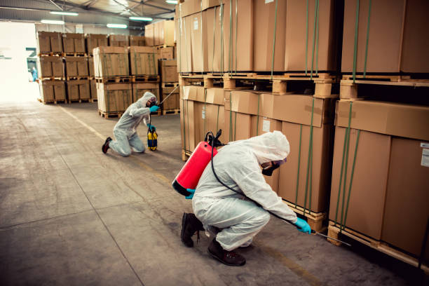 Best Cockroach Control Services  in Lewisburg, OH