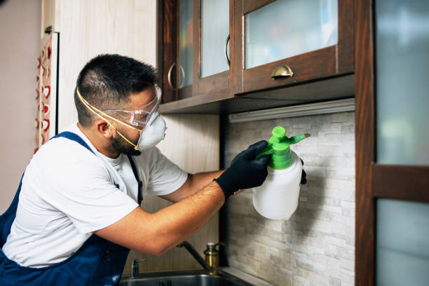 Best Insect Control  in Lewisburg, OH