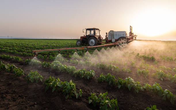 Pest Prevention Services in Lewisburg, OH