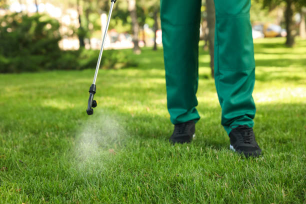 Best Pest Inspection Near Me  in Lewisburg, OH