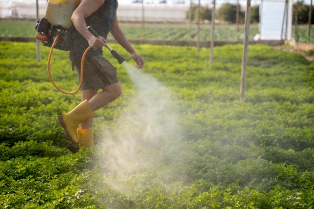 Best Best Pest Control Companies  in Lewisburg, OH