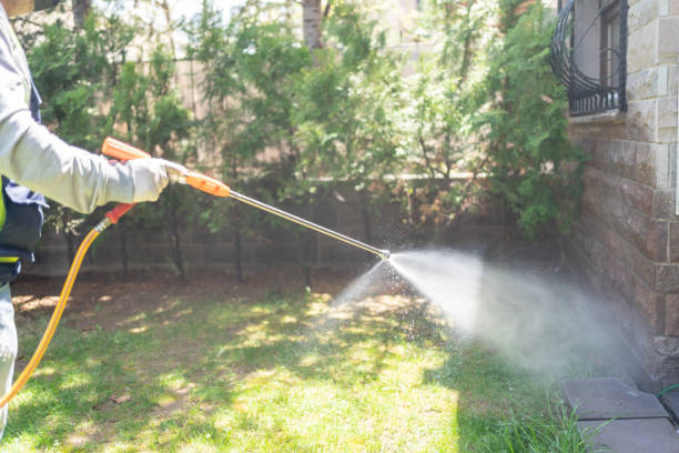 Best Rodent Control Near Me  in Lewisburg, OH
