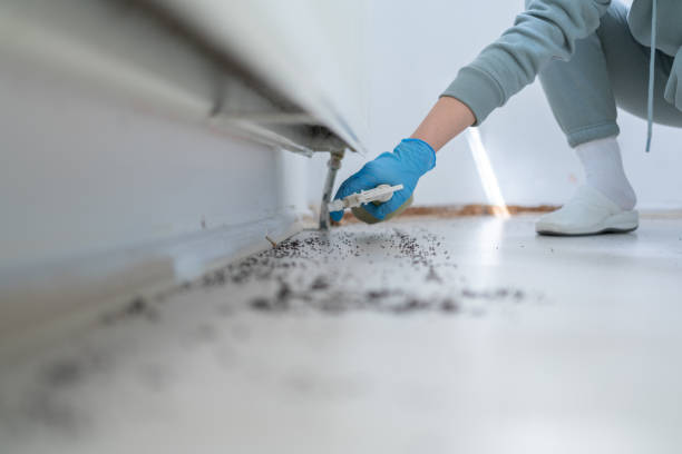 Best Wildlife Control Services  in Lewisburg, OH