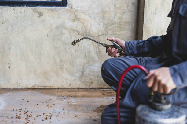 Best Pest Control Near Me  in Lewisburg, OH